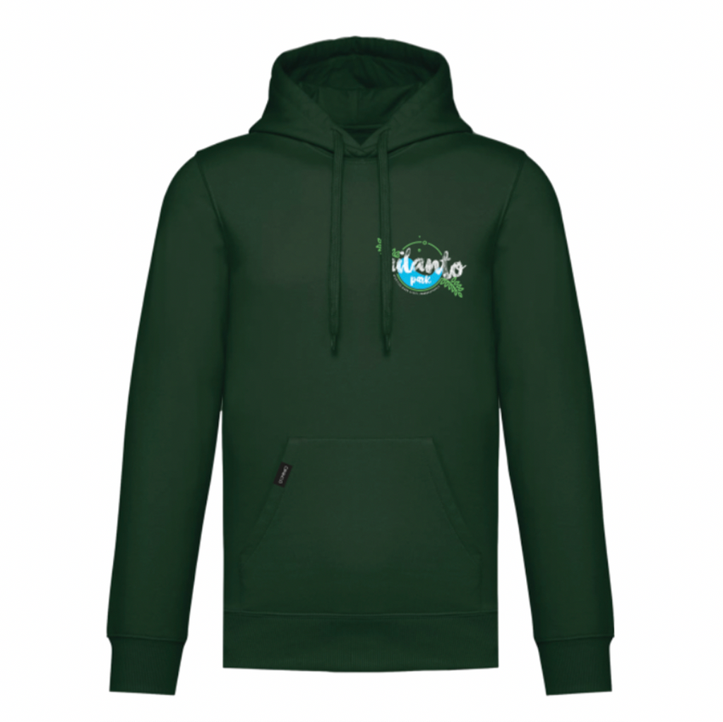 Felpa garzata con cappuccio verde AILANTO PARK